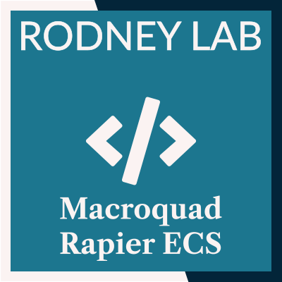 Macroquad Rapier ECS: Using Bevy ECS in Macroquad Game 🦀 | Rodney Lab
