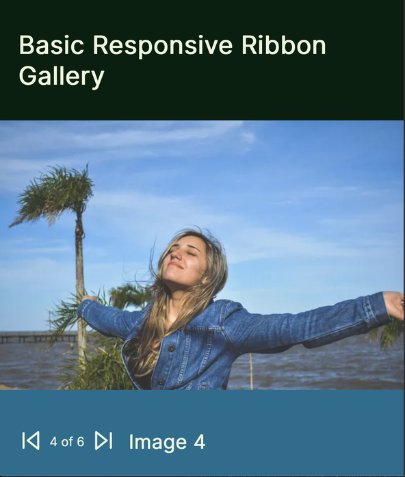 Simple Svelte Responsive Image Gallery: Screenshot: Image shows gallery in tall, narrow browser window. A single landscape-orientation image takes the full window width.