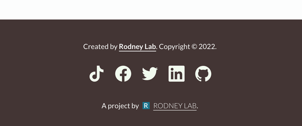 SvelteKit TypeScript vanilla-extract Starter: Screen shot of footer icons including Twitter, Tik Tok and Git hub icons.